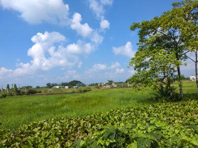 Image of 720 Sq.ft Residential Plot / Land for sale in Raspunja Township, Joka, Kolkata for Rs. 266654
