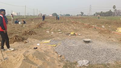 Royal society Plot View 2
