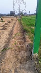 Ramchora Plot View 2