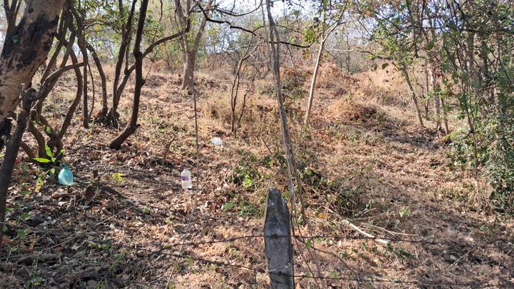 Bhugaon Main Image 1