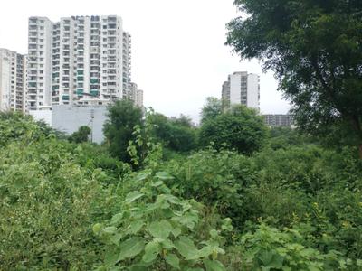 Image of 2700 Sq.ft Residential Plot / Land for sale in Sector 78, Faridabad for Rs. 45000000