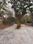 Kodipalya Main Image 1