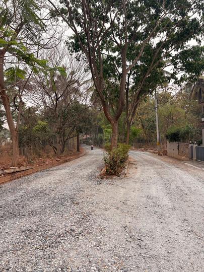 Kodipalya Main Image 1
