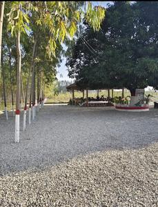 Image of 900 Sq.ft Residential Plot / Land for sale in Behat, Saharanpur for Rs. 800000