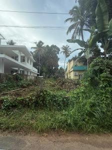 Image of 3920 Sq.ft Residential Plot / Land for sale in Aranattukara, Thrissur for Rs. 11700000