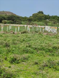 Image of 675 Sq.ft Residential Plot / Land for sale in Adgaon, Nashik for Rs. 2750000
