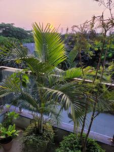 Balcony Image of 2900 Sq.ft 6 BHK Independent House for sale in Satya Malwa County, Manglia Indore for Rs. 18000000