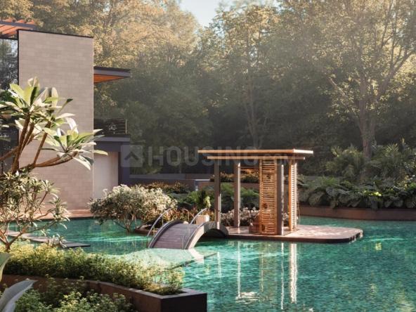 Gaurs Chrysalis Main Image 1