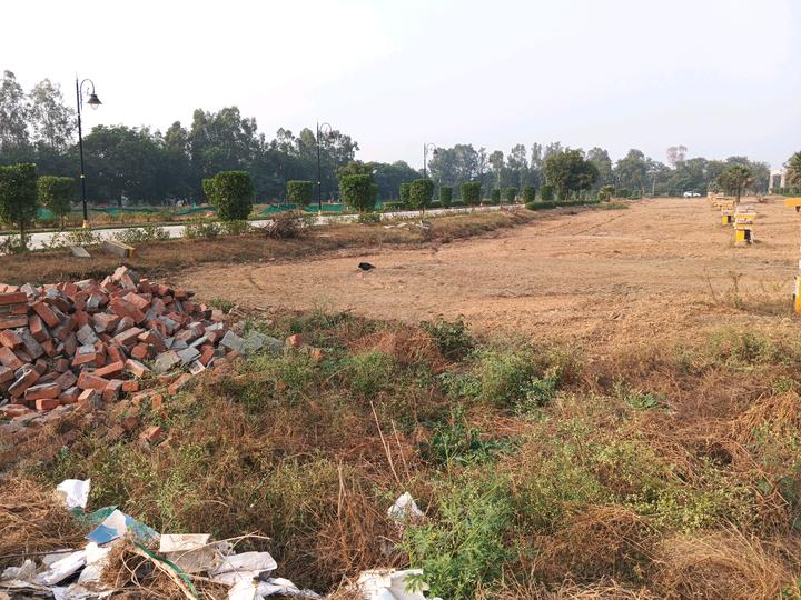 Betterchoice Vanya City Main Image 1