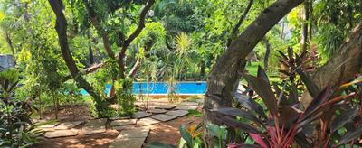 Image of 5000 Sq.ft 4 BHK Independent House for rent in Neelankarai, Chennai for Rs. 250000