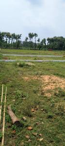 Image of 1200 Sq.ft Residential Plot / Land for sale in Bihta, Patna for Rs. 1600000