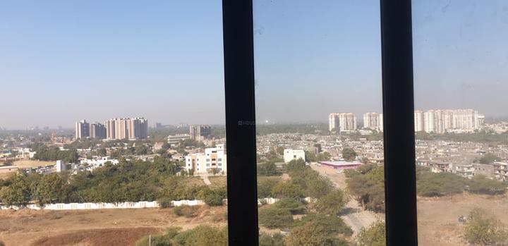 Olive Greens Main Image 1