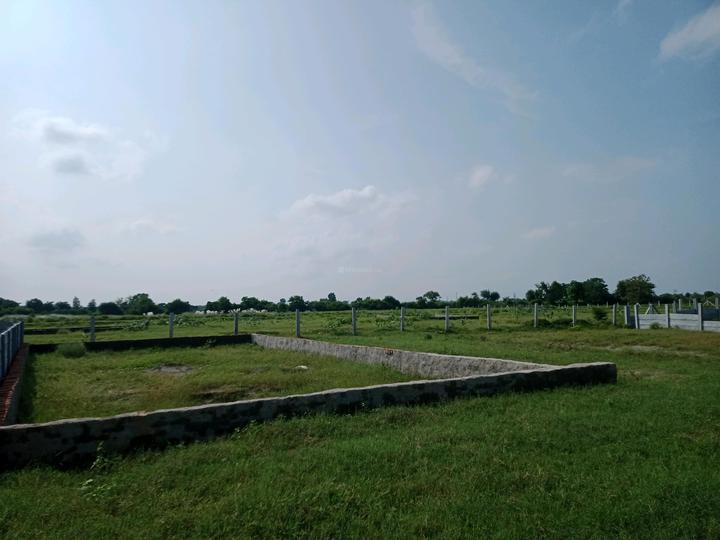 BDL GROUP ROYAL CITY Main Image 1