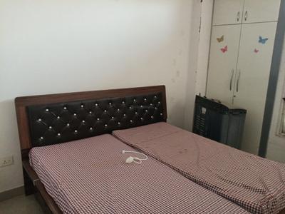 Bedroom Image of 550 Sq.ft 1 BHK Apartment / Flat for rent in Star Realcon The Essentia, Milakpur Goojar Bhiwadi for Rs. 13500