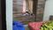 K Raheja Vista Phase 3 Bedroom Two 2
