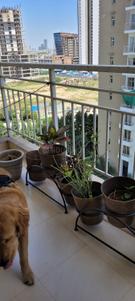 Balcony Image of 1350 Sq.ft 2.5 BHK Apartment / Flat for sale in Tata Gurgaon Gateway, Sector 112 Gurgaon for Rs. 22000000