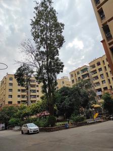 Image of 1200 Sq.ft 2 BHK Apartment / Flat for rent in Deolali Gaon, Nashik for Rs. 30000