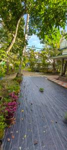 Image of 1000 Sq.ft 3 BHK Independent House for sale in Koonammavu, Kochi for Rs. 600000