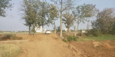 Suvidha Enclave  Plot View 2