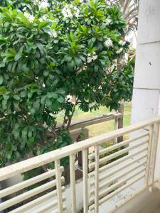 Balcony Image of 2200 Sq.ft 4 BHK Villa for rent in Akshar Prakruti Homes, Shela Ahmedabad for Rs. 36000