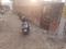 Near machli mandi Main Image 1