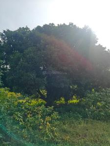 Image of 45302 Sq.ft Residential Plot / Land for sale in Kadavur, Madurai for Rs. 20000000