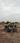 Kings paradise plots yamuna expressway Plot View 2