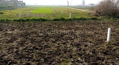 RESIDENTIAL PLOT IN PATNA Plot View 3