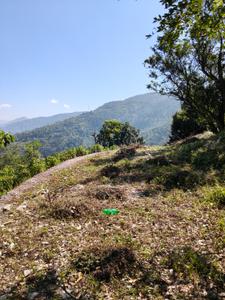 Image of 2809 Sq.ft Residential Plot / Land for sale in Mohan Range, Almora for Rs. 22000000