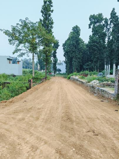 Raipur Main Image 1
