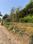 Aranvoyal Plot View 2