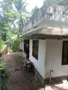 Image of 1450 Sq.ft 3 BHK Independent House for sale in Chirayinkeezhu, Thiruvananthapuram for Rs. 2900000