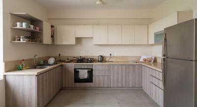 Kitchen Image of 2100 Sq.ft 3 BHK Apartment / Flat for rent in Marine Drive Kochi for Rs. 82500