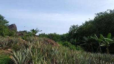 Image of 48563 Sq.ft Residential Plot / Land for sale in Mathicode, Kanyakumari for Rs. 180000000