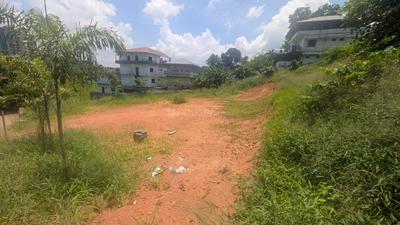 Kakkanad Plot View 3