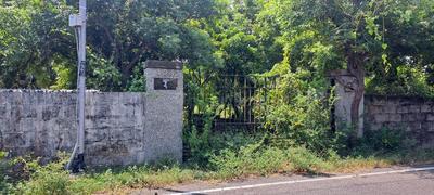 Residential Plot