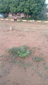 Image of 1300 Sq.ft Residential Plot / Land for sale in Thyagaraja Nagar, Tirunelveli for Rs. 3600000