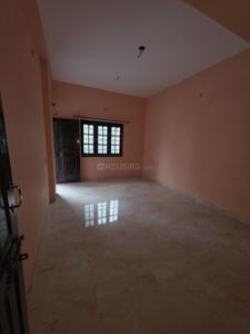 Hall Image of 1500 Sq.ft 3 BHK Apartment / Flat for rent in Tejpur Gadbadi Indore for Rs. 17500