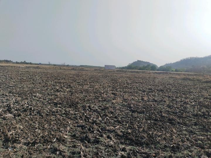 Mahamum Plots In Vasheni Main Image 1