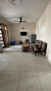 Hall Image of Dhiman Pg in Kharar, Mohali
