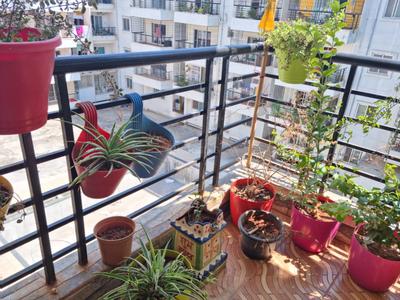 Balcony Image of 1560 Sq.ft 3 BHK Apartment / Flat for rent in Whitefield Bengaluru for Rs. 43000