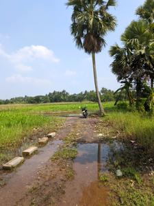 Image of 1440 Sq.ft Residential Plot / Land for sale in Natures Paradise, Joka, Kolkata for Rs. 299999