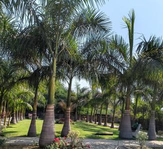 Image of 600 Sq.ft Residential Plot / Land for sale in Abhinav City, Vidhan Sabha Road, Raipur for Rs. 1860000
