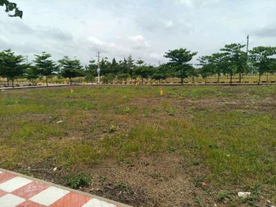 Kandi Plot View 1