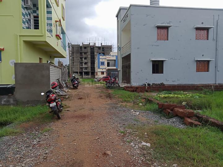 Balianta Main Image 1