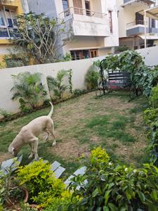 Image of 1600 Sq.ft 3 BHK Independent House for sale in Pushpak Residency, Undera, Vadodara for Rs. 12500000