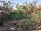 Block D Plot View 2