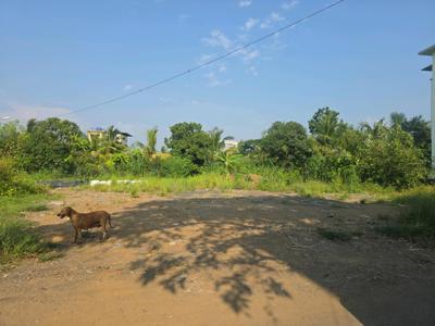 Image of 1089 Sq.ft Residential Plot / Land for sale in Vasai West, Vasai for Rs. 4700000