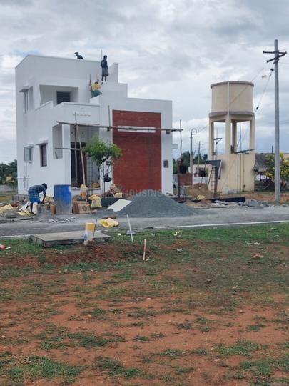 Karamadai Main Image 1
