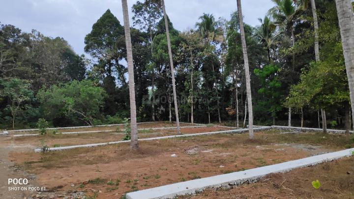 Puliyanm Main Image 1